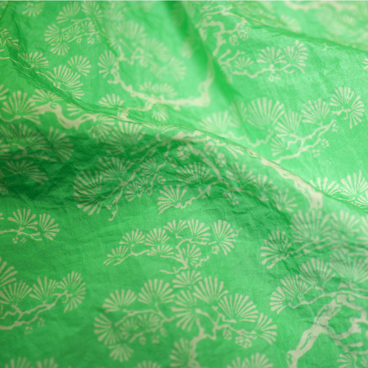 Japan Tree Green Jersey 