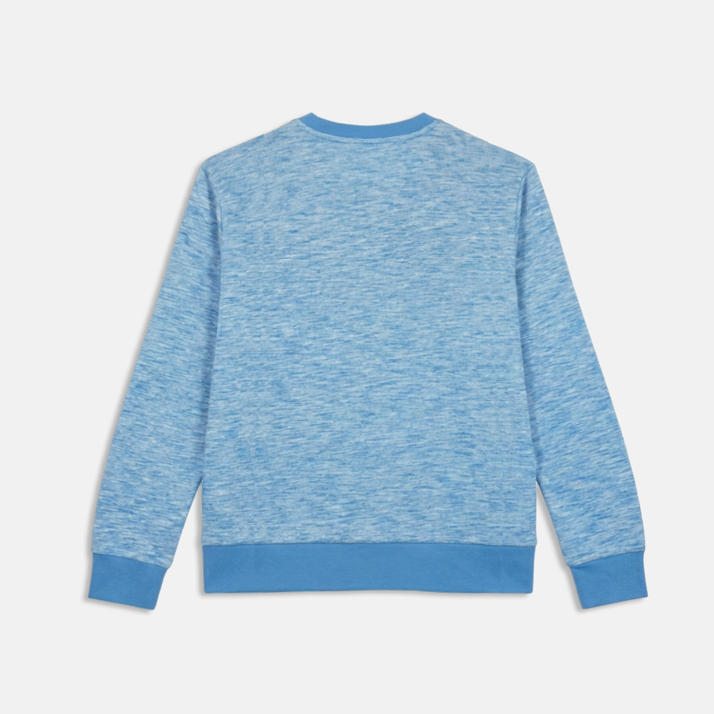 Blue heather sweatshirt